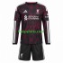 Liverpool Derde Tenue Kinder Voetbalshirts 2026-2027 Lange Mouwen
