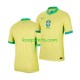 Brazilië Thuis Tenue Heren Voetbalshirts Copa America 2024 Korte Mouwen Brazilië Thuis Tenue Heren Voetbalshirts Copa America 2024 Korte Mouwen