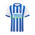 Brighton Hove Albion Thuis Tenue Heren Voetbalshirts 2024-2025 Korte Mouwen