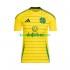 Celtic Uit Tenue Heren Voetbalshirts 2024-2025 Korte Mouwen
