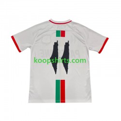 Club Deportivo Palestino Uit Tenue Heren Voetbalshirts Center Stripre 2024-2025 Korte Mouwen
