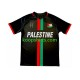 Club Deportivo Palestino Thuis Tenue Heren Voetbalshirts Center Stripre 2024-2025 Korte Mouwen Club Deportivo Palestino Thuis Tenue Heren Voetbalshirts Center Stripre 2024-2025 Korte Mouwen