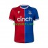Crystal Palace Thuis Tenue Heren Voetbalshirts 2023-2024 Korte Mouwen