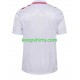 EK 2024 Denemarken Uit Tenue Heren Voetbalshirts Korte Mouwen