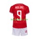 EK 2024 Denemarken Thuis Tenue Kinder Voetbalshirts Hojlund 9 Korte Mouwen EK 2024 Denemarken Thuis Tenue Kinder Voetbalshirts Hojlund 9 Korte Mouwen