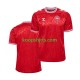 EK 2024 Denemarken Thuis Tenue Heren Voetbalshirts Korte Mouwen EK 2024 Denemarken Thuis Tenue Heren Voetbalshirts Korte Mouwen