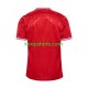 EK 2024 Denemarken Thuis Tenue Heren Voetbalshirts Korte Mouwen