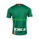 Uit Tenue Heren Voetbalshirts Deportivo Alaves 2023-2024 Korte Mouwen