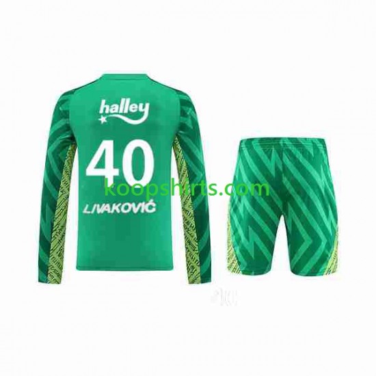 Doelman Thuis Fenerbahce Livakovic 40 Footbal Kit 2023-2024 Lange Mouwen Doelman Thuis Fenerbahce Livakovic 40 Footbal Kit 2023-2024 Lange Mouwen