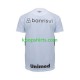 Gremio Uit Tenue Heren Voetbalshirts 2023-2024 Korte Mouwen