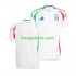 EK 2024 Italië Uit Tenue Heren Voetbalshirts Korte Mouwen