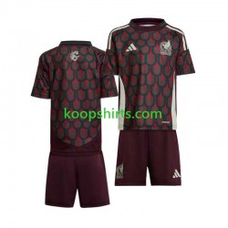 Mexico Thuis Tenue Kinder Voetbalshirts Copa America 2024 Korte Mouwen