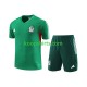 Mexico Groente Voetbal training shirt en shorts 2023-2024 Mexico Groente Voetbal training shirt en shorts 2023-2024