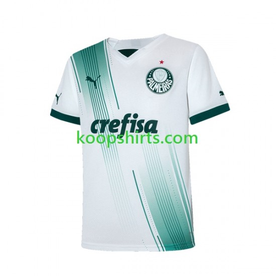 Palmeiras Uit Tenue Heren Voetbalshirts 2023-2024 Korte Mouwen Palmeiras Uit Tenue Heren Voetbalshirts 2023-2024 Korte Mouwen
