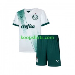 Palmeiras Uit Tenue Kinder Voetbalshirts 2023-2024 Korte Mouwen