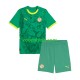 Senegal Uit Tenue Kinder Voetbalshirts 2025 Korte Mouwen Senegal Uit Tenue Kinder Voetbalshirts 2025 Korte Mouwen
