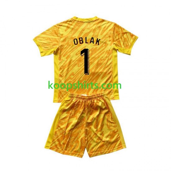 EK 2024 Slovenië Doelman Thuis Geel Tenue Kinder Voetbalshirts Jan Oblak 1 Korte Mouwen EK 2024 Slovenië Doelman Thuis Geel Tenue Kinder Voetbalshirts Jan Oblak 1 Korte Mouwen