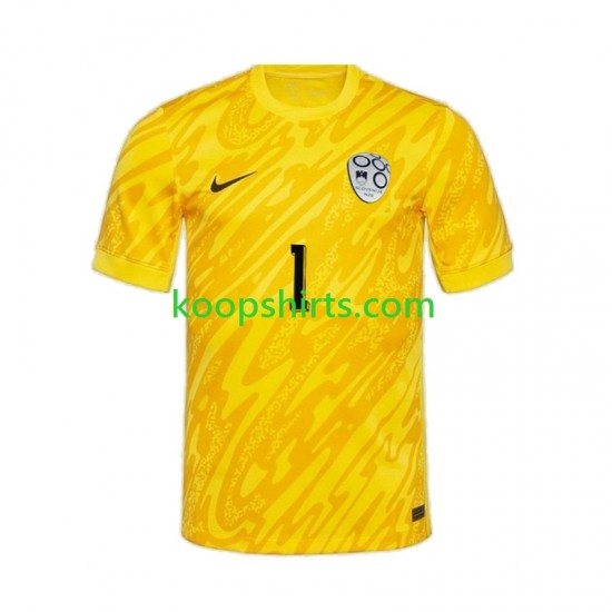 EK 2024 Slovenië Doelman Thuis Geel Tenue Heren Voetbalshirts Jan Oblak 1 Korte Mouwen