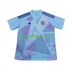 EK 2024 Spanje Doelman Uit Blauw Tenue Heren Voetbalshirts Korte Mouwen