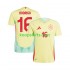 EK 2024 Spanje Uit Tenue Heren Voetbalshirts RODRIGO 16 Korte Mouwen