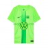 VfL Wolfsburg Thuis Tenue Heren Voetbalshirts 2024-2025 Korte Mouwen
