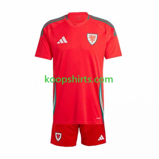 Wales Thuis Tenue Kinder Voetbalshirts 2024 Korte Mouwen Wales Thuis Tenue Kinder Voetbalshirts 2024 Korte Mouwen