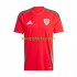 Wales Thuis Tenue Heren Voetbalshirts 2024 Korte Mouwen