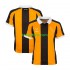 Hull City Thuis Tenue Heren Voetbalshirts 2026-2027 Korte Mouwen