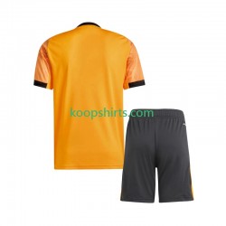 AS Roma Uit Tenue Kinder Voetbalshirts 2025-2026 Korte Mouwen