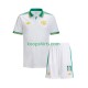 AS Roma Derde Tenue Kinder Voetbalshirts Evan Ferguson 11 2025-2026 Korte Mouwen