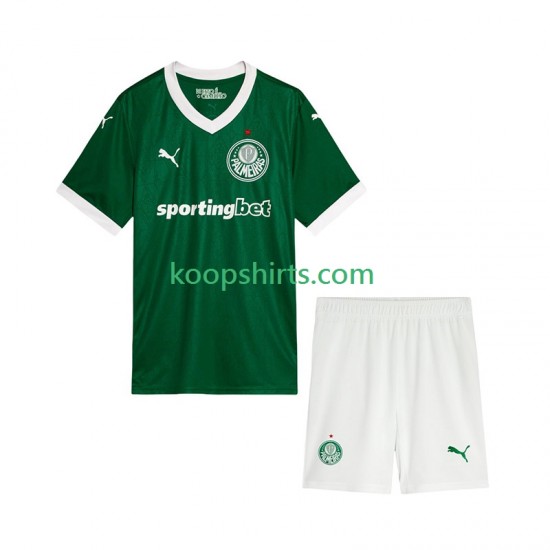 Palmeiras Thuis Tenue Kinder Voetbalshirts 2025-2026 Korte Mouwen Palmeiras Thuis Tenue Kinder Voetbalshirts 2025-2026 Korte Mouwen