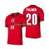 WK 2026 Engeland Uit Tenue Heren Voetbalshirts Cole Palmer 20 Korte Mouwen