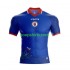 WK 2026 Thuis Tenue Heren Voetbalshirts Haiti Korte Mouwen