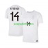 WK 2026 Noorwegen Derde Tenue Heren Voetbalshirts Julian Ryerson 14 Korte Mouwen