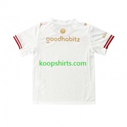 PSV Eindhoven Vierde Tenue Heren Voetbalshirts Efteling 2025-2026 Korte Mouwen