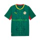 Senegal Uit Tenue Heren Voetbalshirts 2026 2027 Korte Mouwen